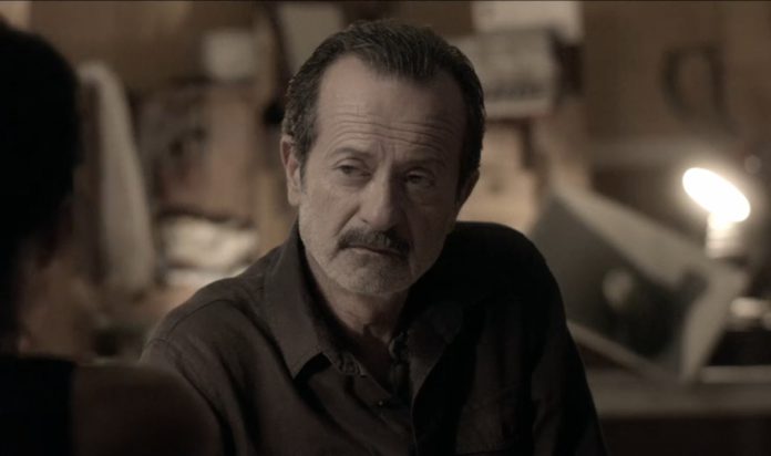 Rocco Papaleo
