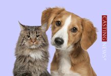 Casting a Parma: si cercano attori e attrici per le nuove clip del PetStore Conad Casting attori e attrici Parma – PetStore Conad