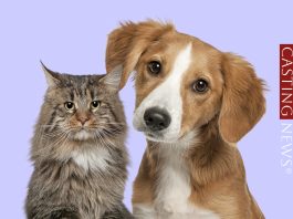 Casting a Parma: si cercano attori e attrici per le nuove clip del PetStore Conad Casting attori e attrici Parma – PetStore Conad