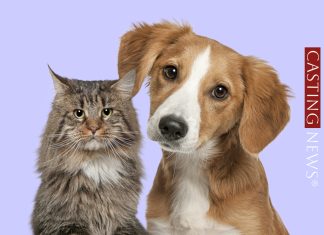 Casting a Parma: si cercano attori e attrici per le nuove clip del PetStore Conad Casting attori e attrici Parma – PetStore Conad