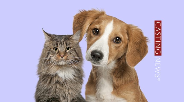 Casting attori e attrici Parma – PetStore Conad