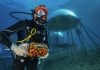 Ischia Film Festival 2026: il cinema continua online con la sezione “Confini”